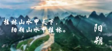 奥利维亚收养猫